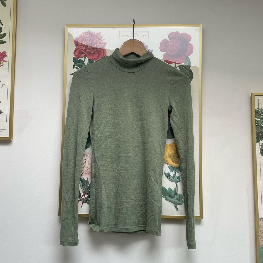 Aritzia Turtleneck